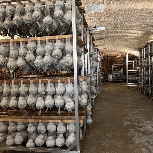 “Caciocavallo di grotta” is among the oldest cheeses of Southern Italy